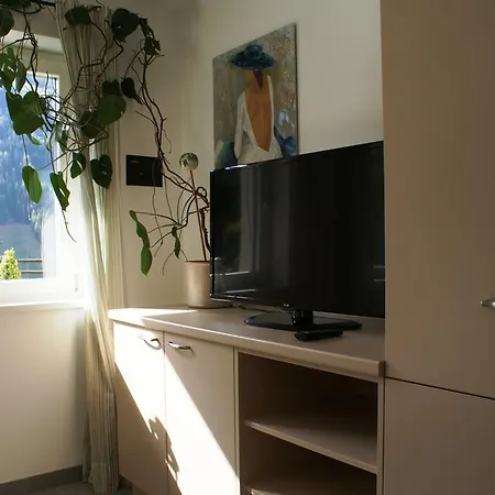 Apartment Landler Ahrntal