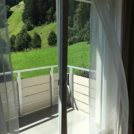 Apartment Landler Ahrntal